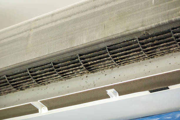 Best Ventilation Cleaning Services  in Enumclaw, WA